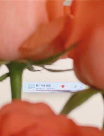復古森系唯美風景背景圖素材