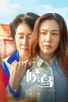 電影《候鳥》海報圖片