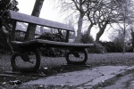 Bench in the park picture desktop wallpaper