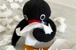 Cute little penguin text chat cute expression pack