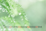 June 2021 pure green natural scenery desktop calendar wallpaper