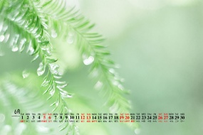 2021年6月純綠色自然風景桌麵日曆壁紙