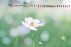 October 2021 fresh desktop calendar wallpaper picture