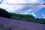 May 2022 fresh blue sky and green land scenery calendar wallpaper