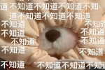不知道