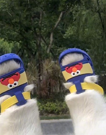 Avatar of furry kid wearing shoes