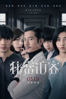 電影《秘密訪客》海報圖片