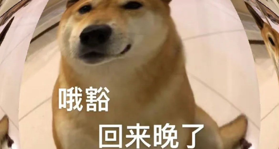 狗狗表情包大全