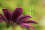 May 2022 Beginning of Summer Desktop Calendar Wallpaper