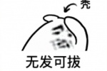 无发可拔表情包