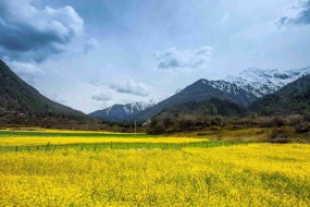 雪山花卉溪流湖泊桌面壁纸图片
