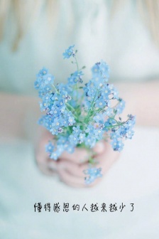 Beautiful text HD mobile wallpaper