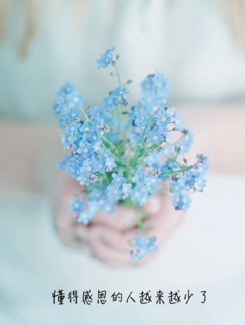 唯美文字高清手機壁紙