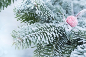 冬天的景色高清电脑壁纸