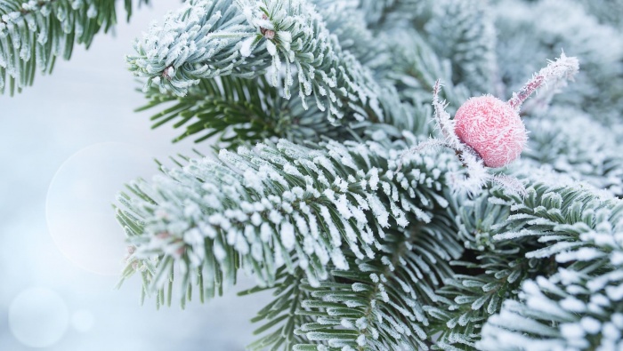 Winter scenery HD computer wallpaper