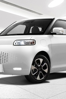 高清欧拉白猫图片