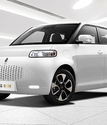 HD Euler white cat pictures