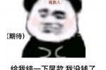 Panda head with hands expression pack