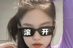 Jennie滚开表情包