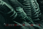 2022年4月翠绿色植物电脑日历壁纸
