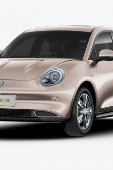 高清欧拉好猫图片