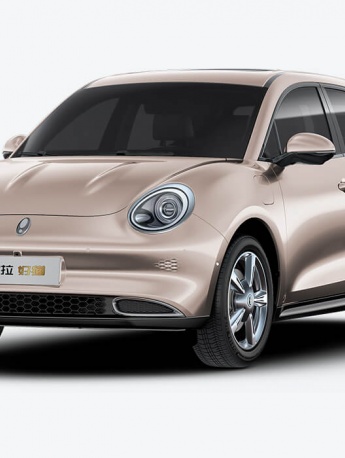 HD Euler good cat pictures