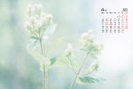 April 2022 simple still life style calendar wallpaper