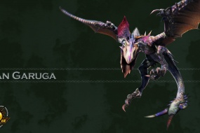 Monster Hunter Black Wolf Bird HD Computer Wallpaper