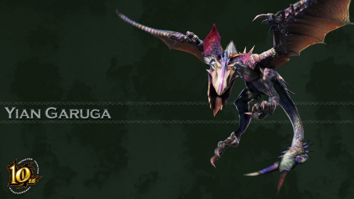 Monster Hunter Black Wolf Bird HD Computer Wallpaper