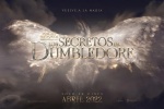 电影《神奇动物：邓布利多之谜》海报图片