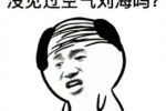 没见过空气刘海吗表情包