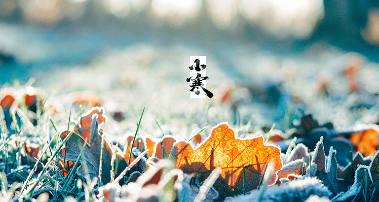 Osamu desktop wallpaper