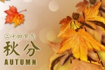 秋分节日背景素材高清桌面壁纸