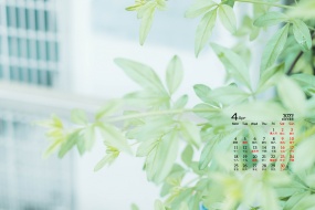April 2022 green theme scenery HD calendar wallpaper