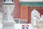 Bingdundun New Year version of Forbidden City snow scene mobile wallpaper