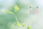 2021年9月护眼高清桌面日历壁纸