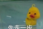 Summary of little yellow duck emoticons