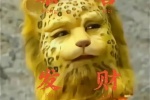 抖音很火的金錢豹頭像