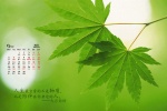 2021年9月小清新电脑日历壁纸