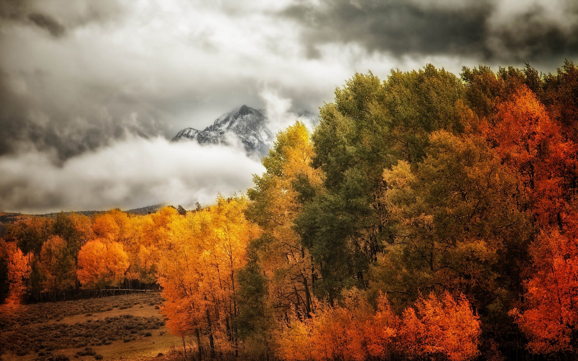 风景如画的秋天美景图片桌面壁纸