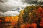 Picturesque autumn scenery pictures desktop wallpaper