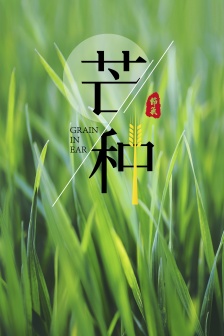 Mobile phone wallpaper of the twenty-four solar terms of Manzhong