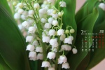 Elegant and fresh flowers calendar wallpaper for March 2022