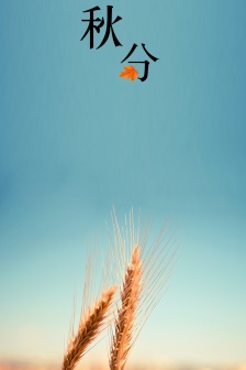 Autumn Equinox beautiful pictures HD mobile wallpaper