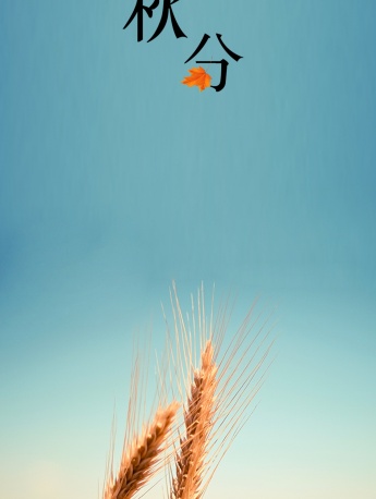 Autumn Equinox beautiful pictures HD mobile wallpaper