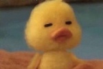 Summary of little yellow duck emoticons