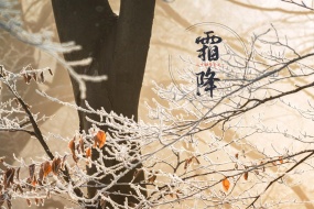 Frost Festival Beautiful Scenery Picture Wallpaper