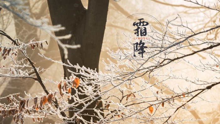 Frost Festival Beautiful Scenery Picture Wallpaper
