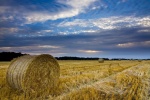 Haystacks on the grassland in autumn pictures desktop wallpaper