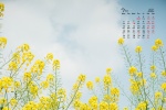 July 2021 flowers and green plants eye protection desktop calendar wallpaper